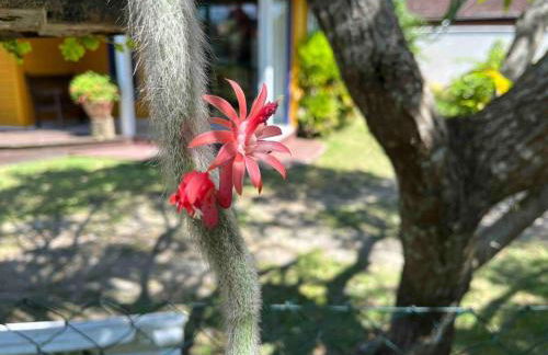 São Francisco do Sul, SC, Praia do Forte. - Foto 27