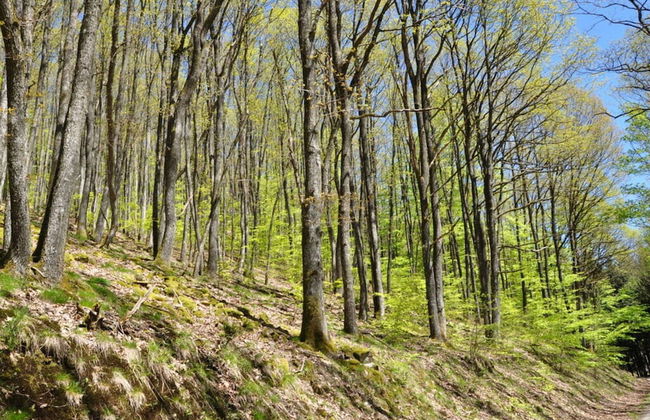 Apartment on the Isenmann Fruit Farm - Foto 8