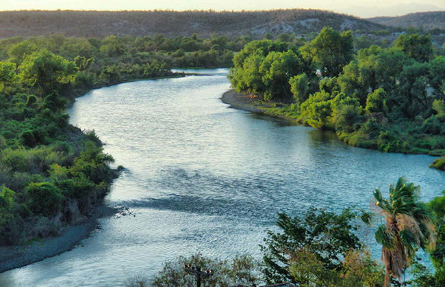 Passeio de barco pelo rio Fuerte - Foto 1