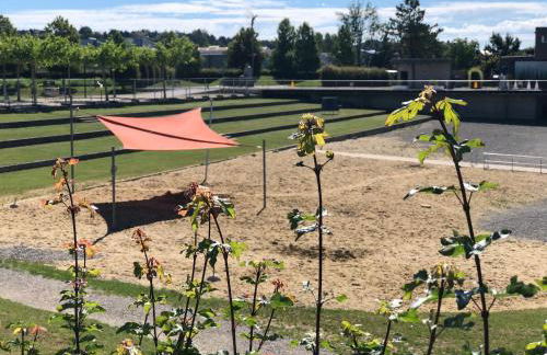 Ferienwohnung am Seepark - Foto 39