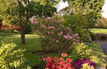 Sunset View one bedroom luxury cottage in an idyllic setting - Foto 74