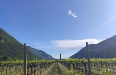 Agriturismo Revena - Foto 34