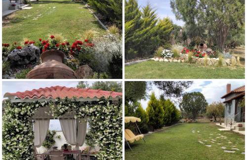 Elia by the sea - Photo 10