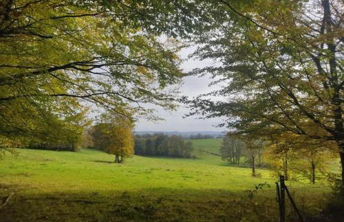 Glamping Tent in the Ardennes - Foto 28
