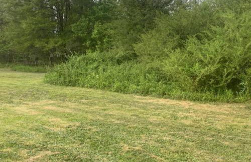 Cheerful 2-bedroom 2 bath entire home West Rome - Foto 7