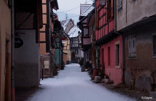 Fleur de Vigne - Foto 50