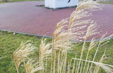 Apartament Ami Stegna - Foto 11