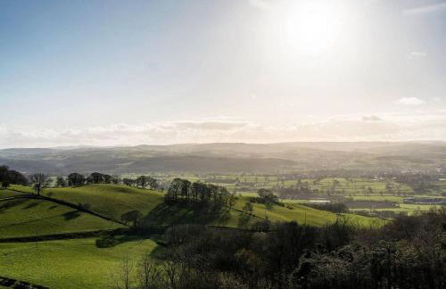 Lux Manor Sleeps 30 - Pool Sauna Hot Tub Cave - Foto 66