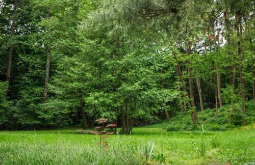 Casa "Dolina Kraljevac" - Foto 12