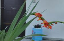 APARTMENT TSAIRA - Photo 36