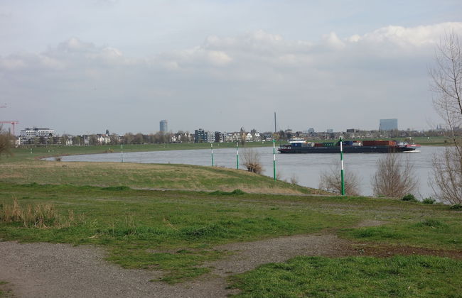 Spacious House - Photo 80