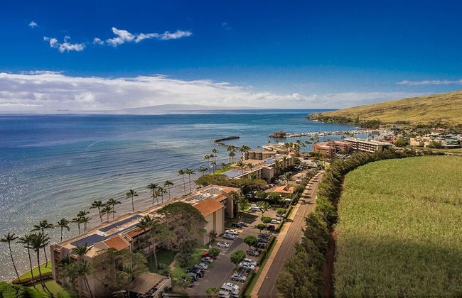 Maalaea Kai 215 1 Bedroom Condo - Foto 52