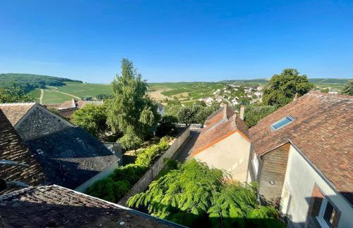 Appartement cosy vue sur le vignoble - Foto 11