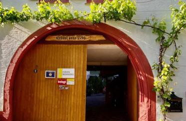 Phönix aus der Asche - Foto 25