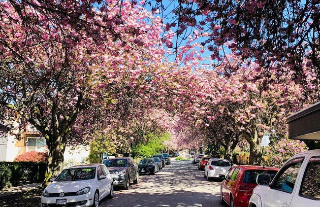 Vancouver West UBC-Adjacent Luxury Home Retreat 4B - Foto 2