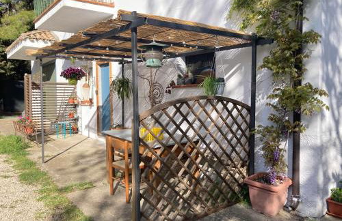 PODERE Sant'Anna B&B -Bambù room - Foto 5