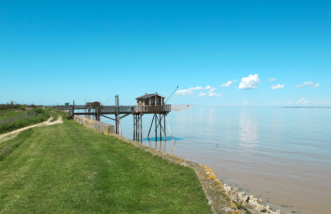 L‘Estuaire - Foto 25