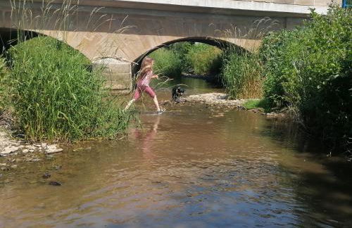 Zurück zur Natur - Urlaub im Zirkuswagen, Sommeratelier oder Schindelwagen - Foto 38
