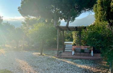 Casa Pipa Alhaurín el Grande - vrijstaande casita met privé zwembad en grote tuin - Photo 16