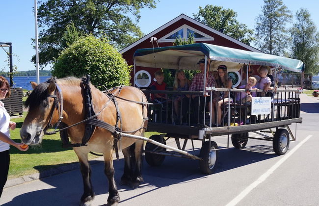 Tingsryd Resort - Foto 69