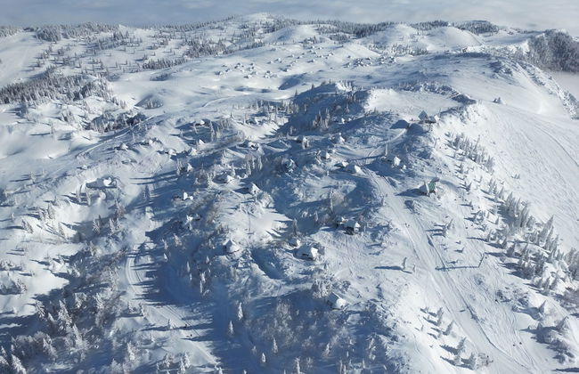 Koča Žafran - Velika planina - Foto 16