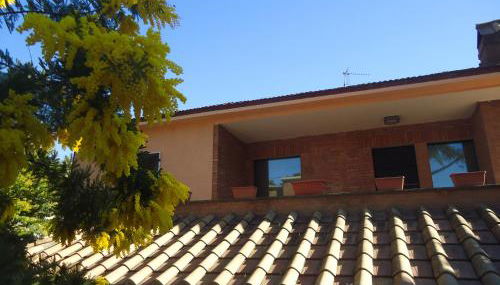 La Sora Bice - Foto 3