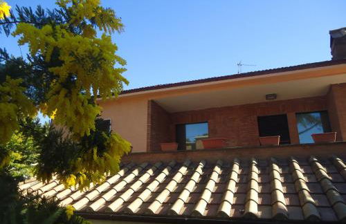 La Sora Bice - Foto 3