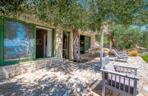 Bougainvillea - Foto 22