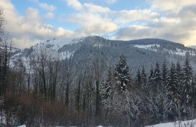 Chalet in La Bresse With Valley Views - Photo 27