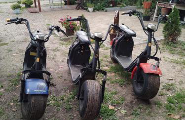 Gospodarstwo agroturystyczne - Foto 59