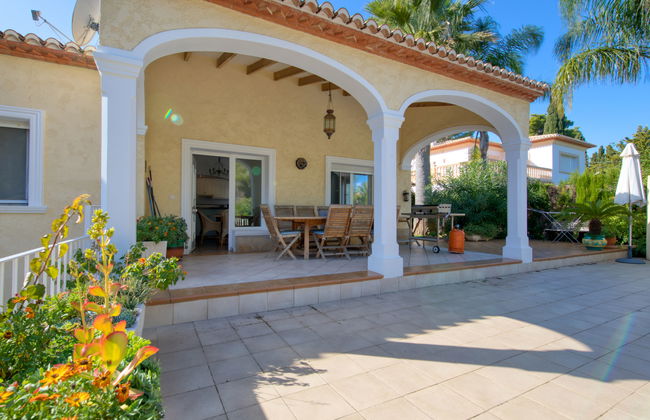 Eucaliptus - Foto 24