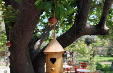 Asmanis Rooms - Photo 47