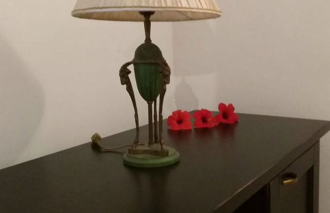 La Trottoria - Photo 12