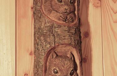 Lo Gnomo sotto al Glicine - Foto 20