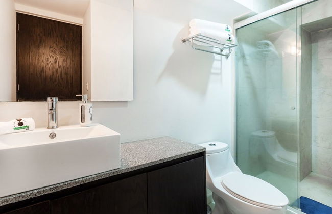 Destination Condesa @Alvaro Obregon Views 2 - Photo 13