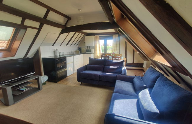 Birds Farm - Foto 24