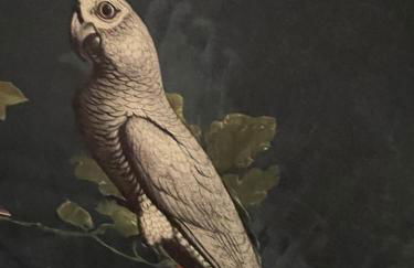 La Guinière Chambres D'hôtes - Foto 9