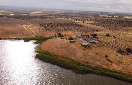 Monte da Figueira - Foto 56