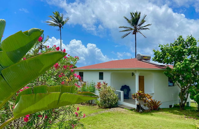 Sea Cliff Eco-Cottages & Gin Distillery - Photo 12