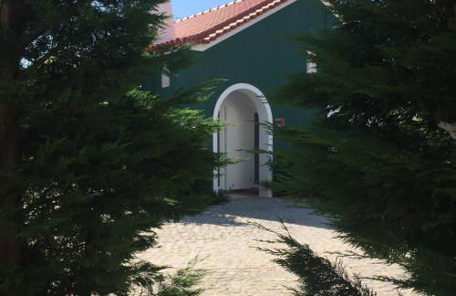 Horta dos Cedros - Foto 34