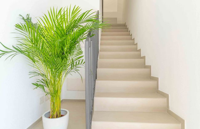 Nuova - Luxury Rooms & Apartment - Foto 2