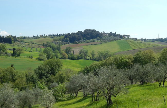 Fullino Nero - Foto 73