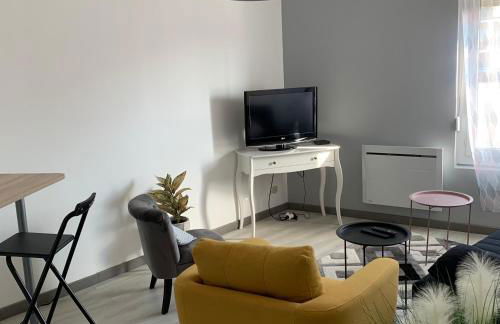 Appartement 4 PERSONNES EMPLACEMENT IDEAL PROCHE DES 24H ET GARE - Foto 16