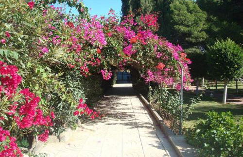 Cortijo EL LLANO - Foto 23