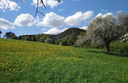 "Haus Ulla" - Foto 36