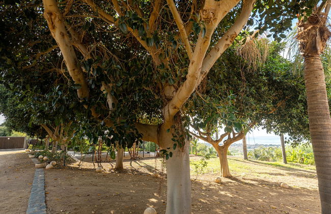 Casette di Calzata - Foto 16