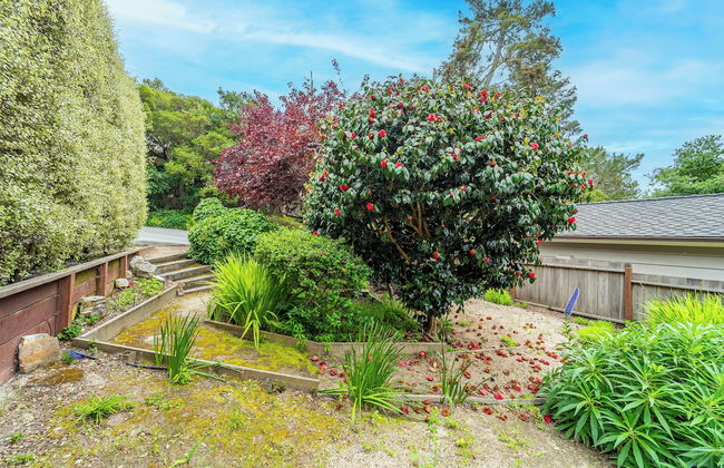 Carmel Romantic Escape for 2 - Foto 19