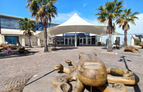 "LE COEUR GRAU" 4 personnes , parking privé , proche mer et tout commerces , 10 mn du centre ville à pieds - Foto 13