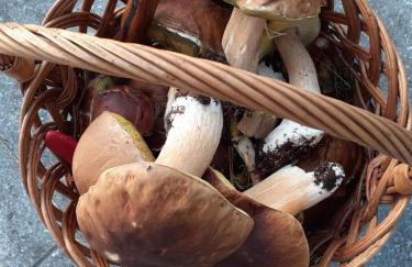 Lakeside-Hideaway - Photo 11