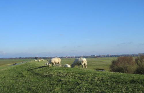 Ferienwohnung Holt - Foto 32